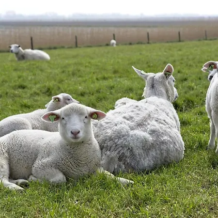 Апартаменты Sandkorn 1