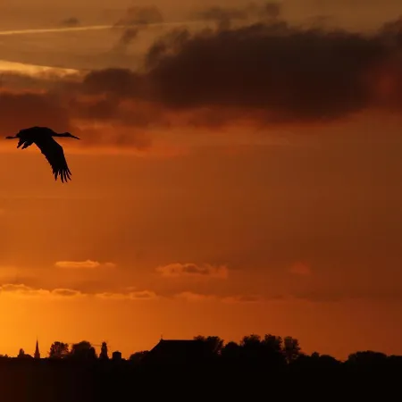 Sandkorn 1 Апартаменты